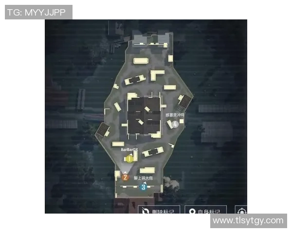 和平精英焦点BLG团队战术意识分析与提升策略探讨 和平精英焦点BLG团队战术意识分析与提升策略探讨