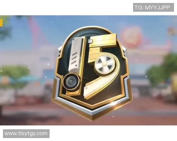 专访黄娜揭秘和平精英S15赛季成功背后的策略与团队精神