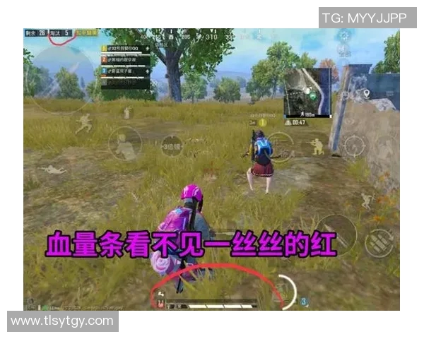 S15LOL赛事中BLG在和平精英运营中的成功与不足分析 S15LOL赛事中BLG在和平精英运营中的成功与不足分析