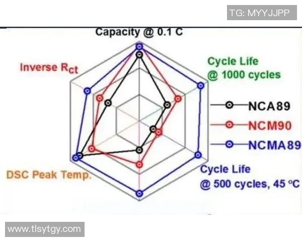 城市赛分析FPX战术表现的优劣与未来发展方向探讨 城市赛分析FPX战术表现的优劣与未来发展方向探讨