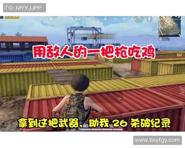 和平精英焦点WE团队的实力分析与未来发展探讨